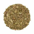 Masparni - Masaparni - Teramnus Labialis | TheWholesalerX
