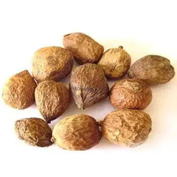 Mend Phal - Randia dumetorum - Med Phal - Madan Phal - Emetic Nut | TheWholesalerX