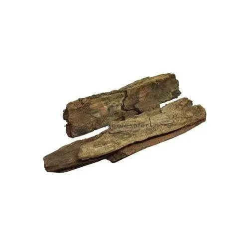 Molsari Chaal - Maulsari Chhal - Moulsiri Chal - Mollsiri Bark - Mimusops elengi | TheWholesalerX
