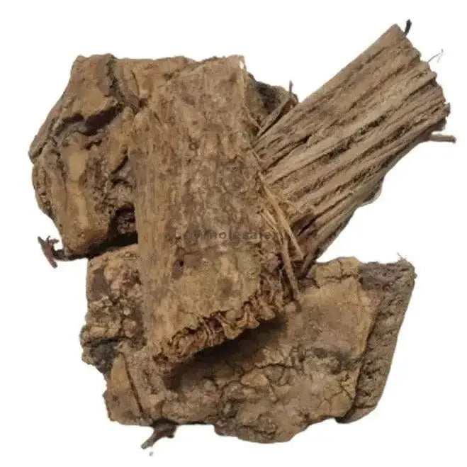 Moringa Bark - Sehjan - Drumstick - Moringa oleifera-TheWholesalerX