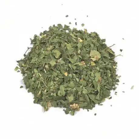 Moringa Leaves - Moringa oleifera - Sehjan Patta - Drumstick Leaves | TheWholesalerX