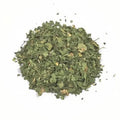 Moringa Leaves - Moringa oleifera - Sehjan Patta - Drumstick Leaves | TheWholesalerX