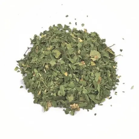 Moringa Leaves - Moringa oleifera - Sehjan Patta - Drumstick Leaves | TheWholesalerX