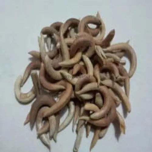 Nakhoona - Nakhuna - Trigonella Uncata - Crescent Legnum | TheWholesalerX