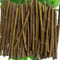 Neem Daatun - Neem stick - Azadirachta indica - Neem toothbrush | TheWholesalerX