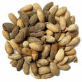 Magaj Neem - Neem Niboli - Azadirachta Indica Seeds (Without Shel) | TheWholesalerX |