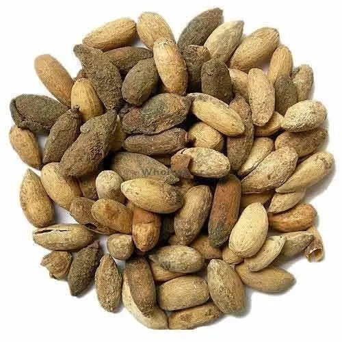 Magaj Neem - Neem Niboli - Azadirachta Indica Seeds (Without Shel) | TheWholesalerX |