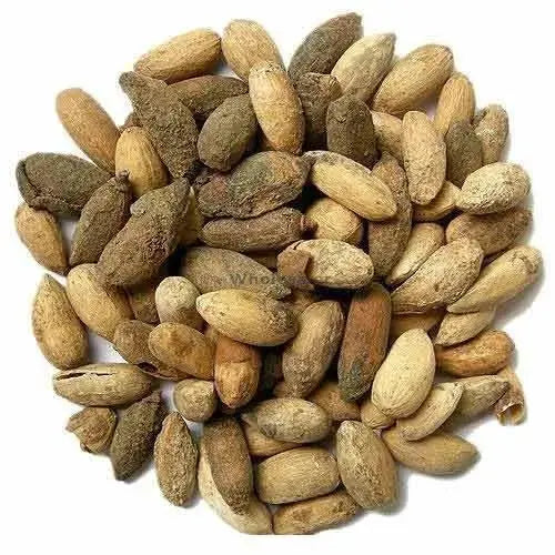 Magaj Neem - Neem Niboli - Azadirachta Indica Seeds (Without Shel) | TheWholesalerX |