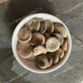 Kuchla Beej - Nux Mica - Strychnos nux-vomica - TheWholesalerX