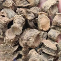 Pakhanved Jadd - Pashan bhed Root - Aquatic Rotula - Bergenia ligulata | TheWholesalerX