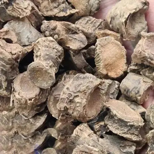 Pakhanved Jadd - Pashan bhed Root - Aquatic Rotula - Bergenia ligulata | TheWholesalerX