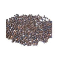 Papita Beej - Papeeta Seeds - Papaya Seeds - Carica papaya  | TheWholesalerX