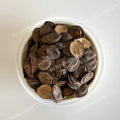 Parijat Patta seed - Harshringar Beej - Harshingar Seeds - Paarijaat Beej - Nyctanthes Arbor-Tristis | TheWholesalerX