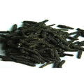 Pipal Choti - Pipali - Piper Retrofractum | 1 Kg, 5 Kg Wholesale price | TheWholesalerX |