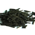 Pipal Choti - Pipali - Piper Retrofractum | 1 Kg, 5 Kg Wholesale price | TheWholesalerX |