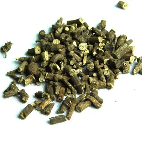 Piplamool Dampa - Piplamool - Peepla Mool | TheWholesalerX |