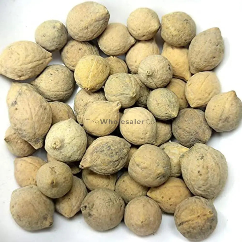 Putrajeevak Beej - Jiya Pota Seeds - Putra Jivak Beej - Putranjiva roxburghii | TheWholesalerX
