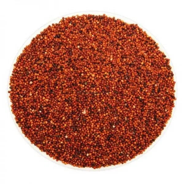 TheWholesalerX-Ragi - Raagi - Mandwa - Madua - Finger Millet - Eleusine coracana