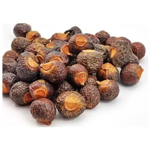 Reetha - Ritha - Soap Nut - Soapnut - Acacia Concinna | TheWholesalerX
