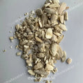 Samandar Jhag - Sea Foam - Samunder Fan - Cuttle fish - TheWholesalerX