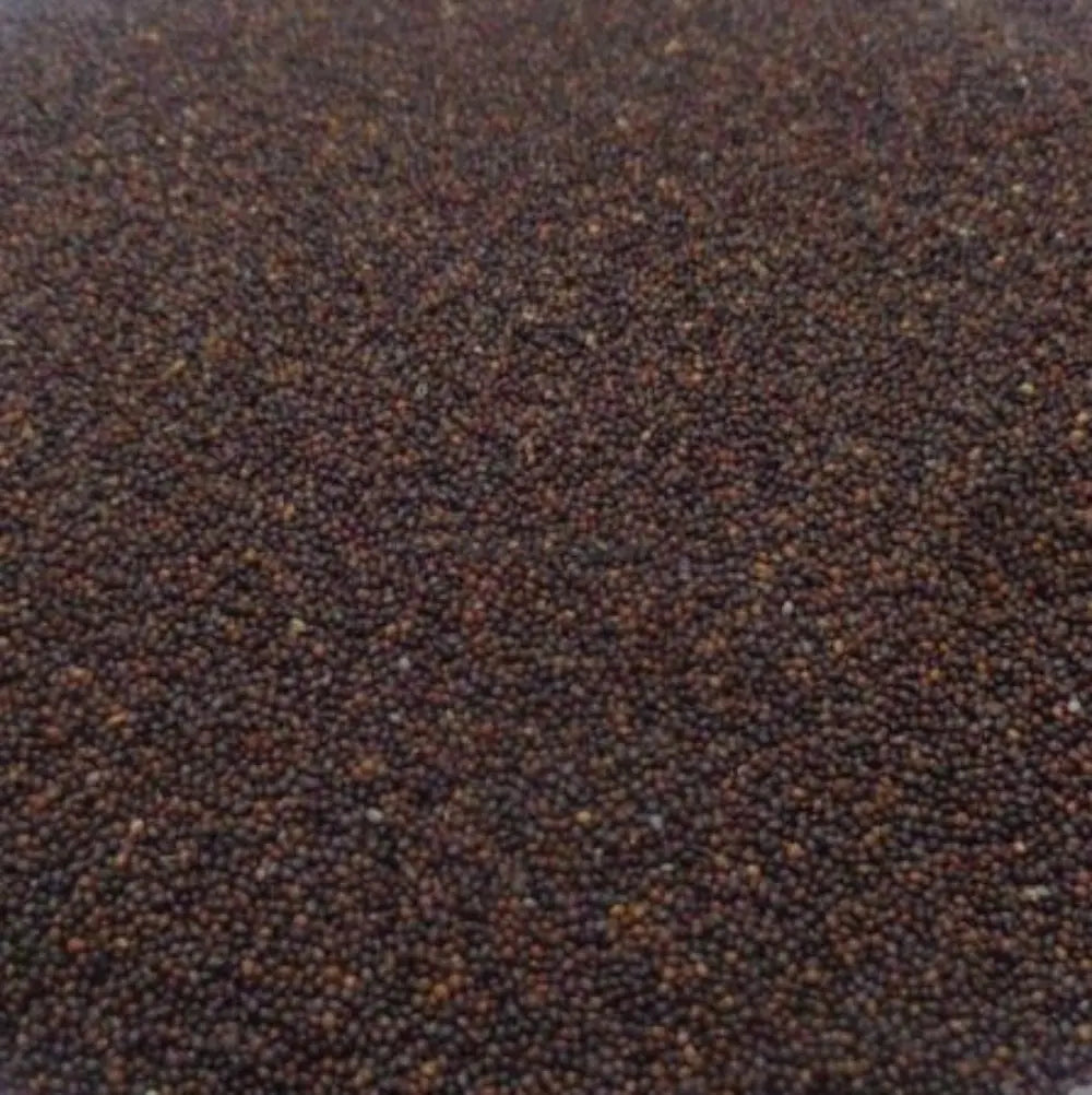 TheWholesalerX-Samunder Sokh - Kamarkas Seeds - Samudra Sosh - Samundar Sokh - Argyreia nervosa