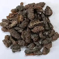 Lakh Pipal - Lakh Peepal -  Ficus Religiosa - Shellac Lac - Lakh Kachli | TheWholesalerX