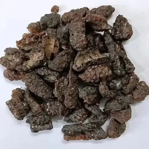 Lakh Pipal - Lakh Peepal -  Ficus Religiosa - Shellac Lac - Lakh Kachli | TheWholesalerX