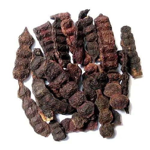 Shikakai - Acacia Concinna - Soap Pod | Wholesale price - 1 Kg, 5 Kg | TheWholesalerX |