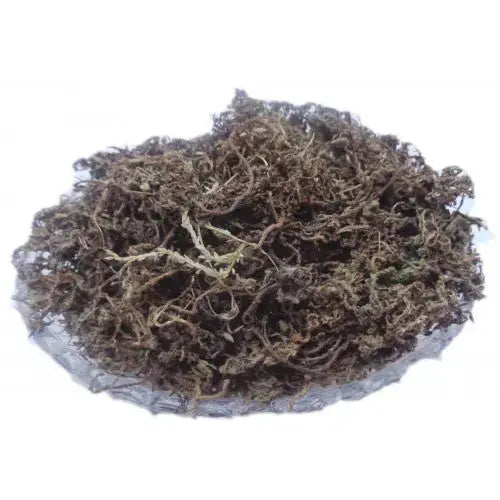 Nagbala Chaal - Naagbala Bark - Nagabala - Gageran Chaal - Grewia hirsuta | TheWholesalerX