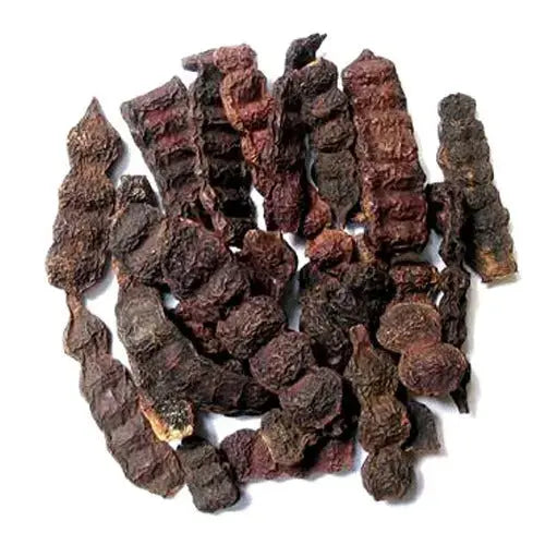 Shikakai - Acacia Concinna - Soap Pod | Wholesale price - 1 Kg, 5 Kg | TheWholesalerX |