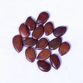 TheWholesalerX-Subabul Seeds - Safed Babool Beej - Leucaena leucocephala - Babul Seed