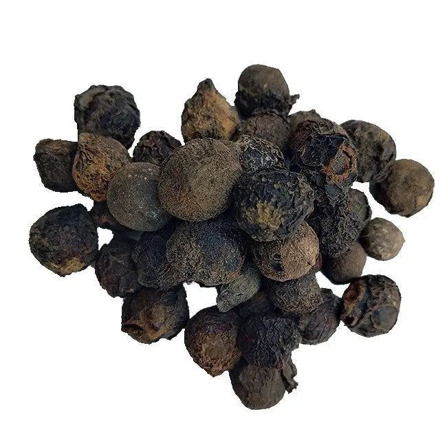 TheWholesalerX-Sugandh Kokila - Laurel Berry - Cinnamomum cecidodaphne - Cinnamomum glaucescens