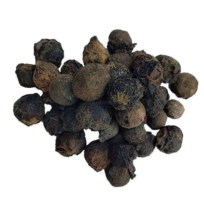TheWholesalerX-Sugandh Kokila - Laurel Berry - Cinnamomum cecidodaphne - Cinnamomum glaucescens