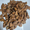 TheWholesalerX - Sugar Badam Kadwa - Diabetes Almonds - Kadua Badam - Swietenia Macrophylla