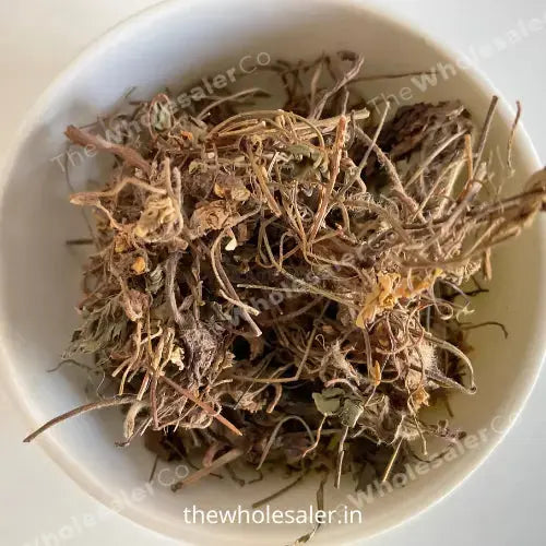 Gul banafsha - Gul Banpsa - Viola Odorata - Sweet Violet - TheWholesalerX