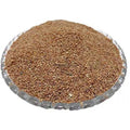 Todri Safed - Tudri Safed Beej - Todari - Lepidium iberis | TheWholesaler |