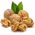 TheWholesalerX-Walnut Chilean (Big) - Kernel - Akhrot Giri