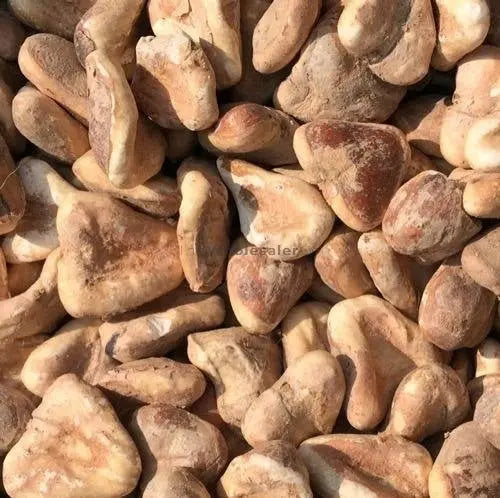 TheWholesalerX-Water Chestnut (Dry) - Singhara Dried - Singhada Sookha - Singhara Sukha  - Trapa bispinosa
